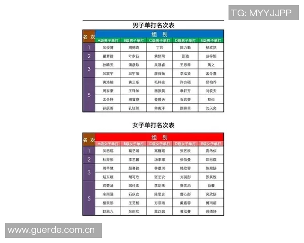 杭州乒乓球队在挑战赛中的速度表现分析与点评