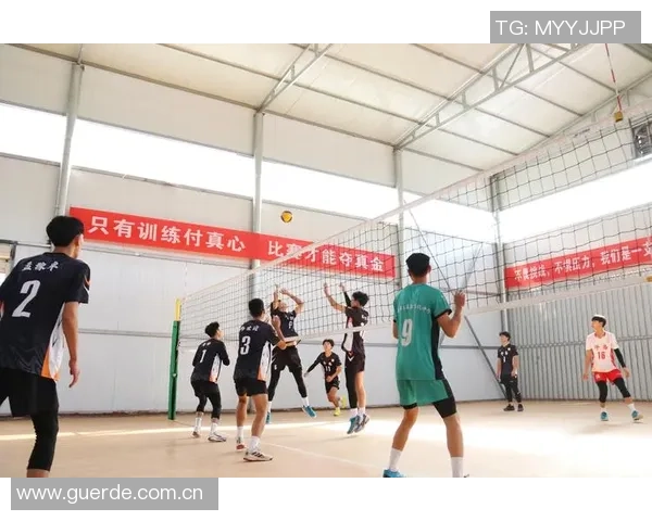 排球团队协作实力榜单公布上海排球队荣获第十名佳绩