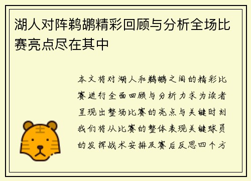 湖人对阵鹈鹕精彩回顾与分析全场比赛亮点尽在其中